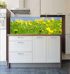 Fototapeta do kuchyn flie 180 x 60  Yellow dandelions, 180 x 60 cm