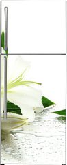 Samolepka na lednici flie 80 x 200  Beautiful lily, isolated on white, 80 x 200 cm