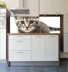 Fototapeta do kuchyn flie 180 x 60  little kitten, 180 x 60 cm