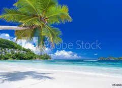 Fototapeta papr 160 x 116, 53260396 - cocotier pench sur plage des Seychelles