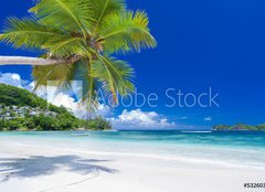 Fototapeta papr 254 x 184, 53260396 - cocotier pench sur plage des Seychelles