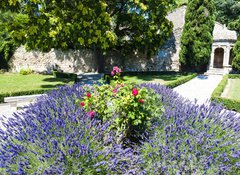 Samolepka flie 100 x 73, 53384066 - garden in Les Baux de-Provence, Provence, France - zahrada v Les Baux de