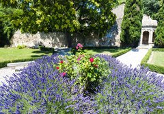 Fototapeta145 x 100  garden in Les Baux de Provence, Provence, France, 145 x 100 cm