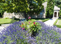 Fototapeta160 x 116  garden in Les Baux de Provence, Provence, France, 160 x 116 cm