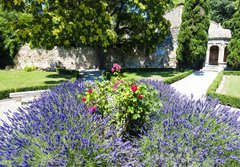 Fototapeta184 x 128  garden in Les Baux de Provence, Provence, France, 184 x 128 cm