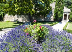 Fototapeta200 x 144  garden in Les Baux de Provence, Provence, France, 200 x 144 cm