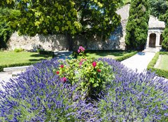 Fototapeta254 x 184  garden in Les Baux de Provence, Provence, France, 254 x 184 cm