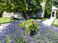 Fototapeta270 x 200  garden in Les Baux de Provence, Provence, France, 270 x 200 cm