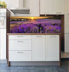 Fototapeta do kuchyn flie 180 x 60  Sunset over lavender field, 180 x 60 cm