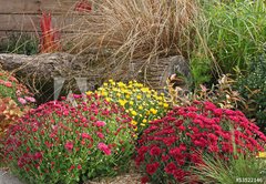 Samolepka flie 145 x 100, 53522146 - chrysanthmes en massif