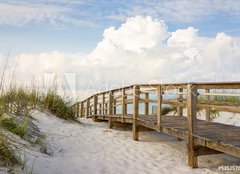 Fototapeta240 x 174  Boardwalk in the Beach Sand Dunes, 240 x 174 cm