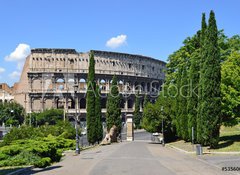 Samolepka flie 100 x 73  Parco di Colle Oppio  Via della Domus Aurea, 100 x 73 cm