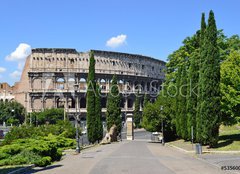 Fototapeta pltno 160 x 116, 53560049 - Parco di Colle Oppio - Via della Domus Aurea