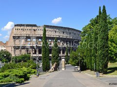 Fototapeta270 x 200  Parco di Colle Oppio  Via della Domus Aurea, 270 x 200 cm