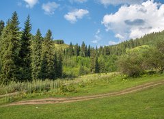 Fototapeta160 x 116  Nature of green trees, road on Medeo, Kazakhstan, 160 x 116 cm