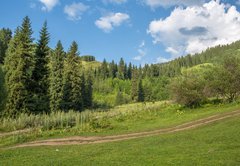 Fototapeta174 x 120  Nature of green trees, road on Medeo, Kazakhstan, 174 x 120 cm