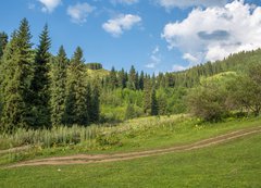 Fototapeta200 x 144  Nature of green trees, road on Medeo, Kazakhstan, 200 x 144 cm