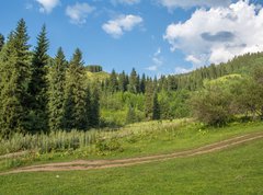 Fototapeta270 x 200  Nature of green trees, road on Medeo, Kazakhstan, 270 x 200 cm