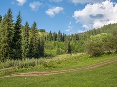 Fototapeta360 x 266  Nature of green trees, road on Medeo, Kazakhstan, 360 x 266 cm