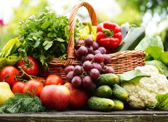 Fototapeta100 x 73  Fresh organic vegetables in wicker basket in the garden, 100 x 73 cm