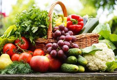 Fototapeta145 x 100  Fresh organic vegetables in wicker basket in the garden, 145 x 100 cm