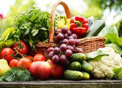 Fototapeta160 x 116  Fresh organic vegetables in wicker basket in the garden, 160 x 116 cm