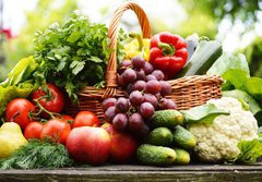 Fototapeta184 x 128  Fresh organic vegetables in wicker basket in the garden, 184 x 128 cm