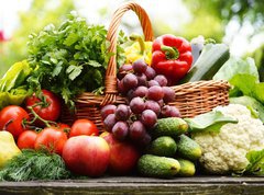 Fototapeta pltno 330 x 244, 53663656 - Fresh organic vegetables in wicker basket in the garden