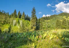 Fototapeta papr 184 x 128, 53756433 - Nature of  green trees and blue sky, near Medeo in Kazakhstan