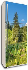 Samolepka na lednici flie 80 x 200, 53756433 - Nature of  green trees and blue sky, near Medeo in Kazakhstan