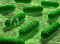 Samolepka flie 100 x 73, 53968782 - E coli Bacteria. - Bakterie E coli.