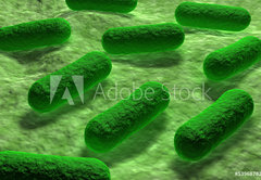 Samolepka flie 145 x 100, 53968782 - E coli Bacteria. - Bakterie E coli.