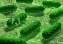 Fototapeta papr 184 x 128, 53968782 - E coli Bacteria. - Bakterie E coli.