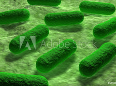Samolepka flie 270 x 200, 53968782 - E coli Bacteria. - Bakterie E coli.