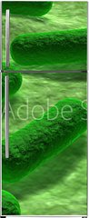 Samolepka na lednici fólie 80 x 200, 53968782 - E coli Bacteria. - Bakterie E coli.