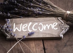 Samolepka flie 100 x 73, 54067496 - Welcome to France
