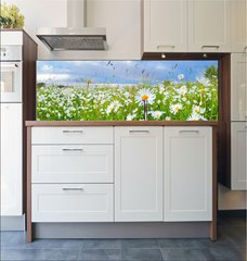 Fototapeta do kuchyn flie 180 x 60, 54073835 - many chamomile flowers over blue sky - mnoho hemnek kvtiny nad modrou oblohou