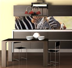Fototapeta do kuchyn flie 260 x 60, 54195512 - Baby zebra with mother