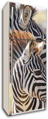 Samolepka na lednici flie 80 x 200, 54195512 - Baby zebra with mother