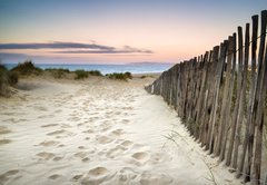 Fototapeta145 x 100  Grassy sand dunes landscape at sunrise, 145 x 100 cm