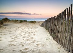 Fototapeta160 x 116  Grassy sand dunes landscape at sunrise, 160 x 116 cm