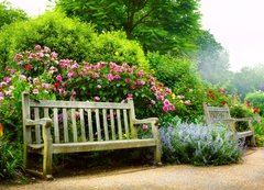 Fototapeta vliesov 200 x 144, 54257133 - Art bench and flowers in the morning in an English park