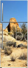 Samolepka na lednici flie 80 x 200, 54332730 - Joshua Tree
