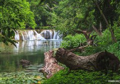 Fototapeta papr 184 x 128, 54411521 - Waterfall in tropical forest,Saraburi province - Vodopd v tropickm lese, provincie Saraburi