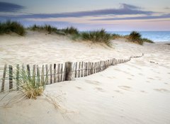 Fototapeta100 x 73  Grassy sand dunes landscape at sunrise, 100 x 73 cm