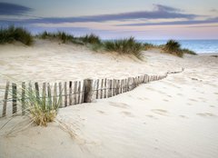 Fototapeta160 x 116  Grassy sand dunes landscape at sunrise, 160 x 116 cm