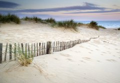 Fototapeta174 x 120  Grassy sand dunes landscape at sunrise, 174 x 120 cm