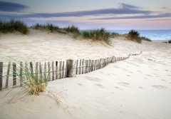 Fototapeta184 x 128  Grassy sand dunes landscape at sunrise, 184 x 128 cm