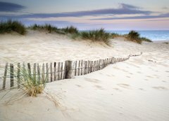 Fototapeta200 x 144  Grassy sand dunes landscape at sunrise, 200 x 144 cm