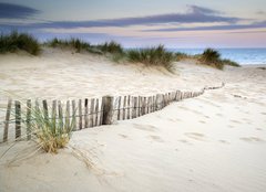 Fototapeta papr 254 x 184, 54417902 - Grassy sand dunes landscape at sunrise